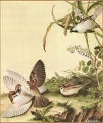 郎世宁代表作品